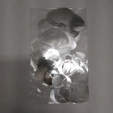 Confetti Foil Silver - (2.5 cm). B525B